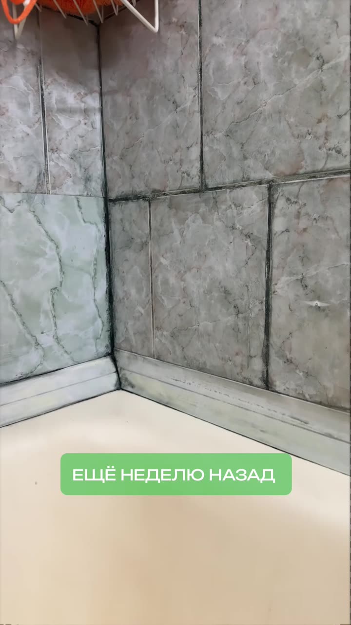 REELS антиплесень